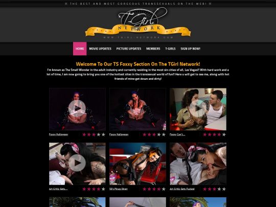 Revisión de TSFoxxy, un sitio que es uno de los muchos sitios populares de estrellas porno trans