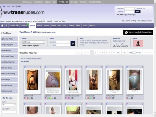 NewTransNudes review, a site that is one of many popular Shemale Porn Picture Sites