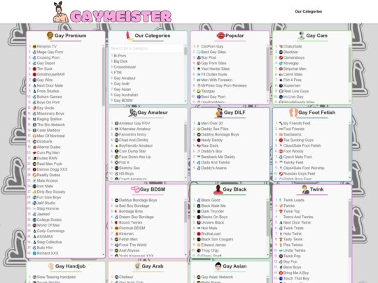 Gaymeister レビュー、多くの人気のあるポルノ ディレクトリの 1 つであるサイト