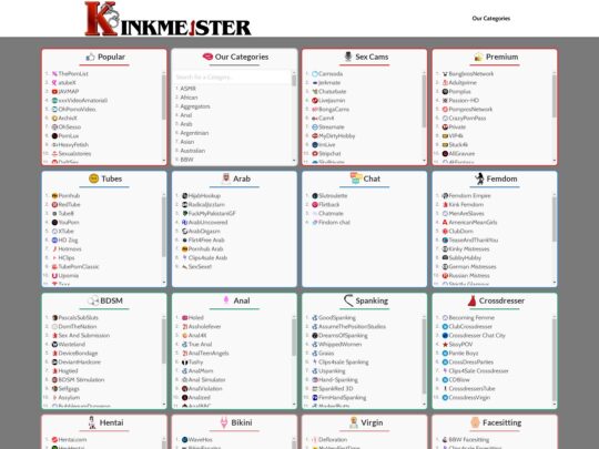 Kinkmeister anmeldelse, et websted, der er et af mange populære pornokataloger