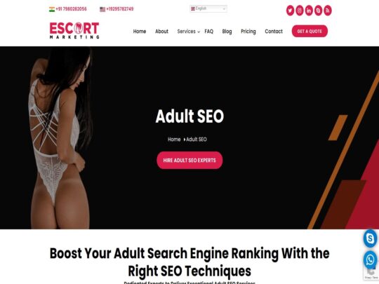 Adult SEO Picture