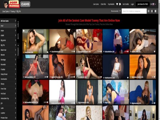 PornBlenderCams Trans Big Tits Picture