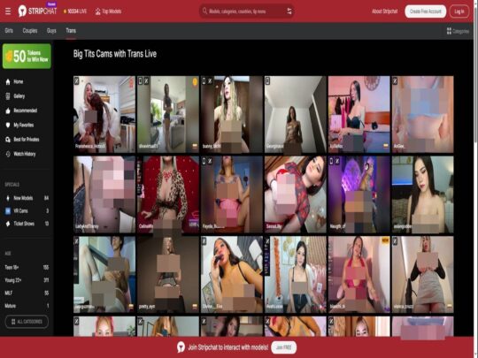 Stripchat Trans Big Tits Picture